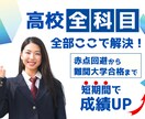 家庭教師/高校生/全科目全てここで解決できます 国語/数学/英語/地理/日本史/世界史/物理/化学/生物 イメージ1