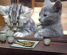 少しでも話したい♪ 秘密厳守でなんでも聴きます タロット占い師として1,000人以上の話を聴いてきました♬ イメージ1