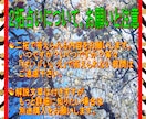 あなたのお悩みに「はい」「いいえ」で明確に答えます ☯二拓選択易占☯東洋最古最長最大最強が全身全霊全力尽力です☯ イメージ2