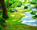 東京・神奈川の撮影承ります スマホで撮るより。。だけどカメラは持ってないそんなあなたに！ イメージ2