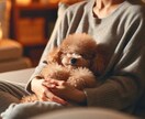 初回限定価格｜ペットを丁寧にヒーリングいたします 大切なペットに元気でいてほしい飼い主様のためのサービスです イメージ5