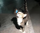 NGはありません。なんでもお話しききます どんな話でもいいのであなたのお話を聞かせてください。 イメージ1