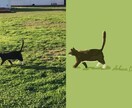 ペットの似顔絵を描きます ⭐️販売初期限定価格⭐️SNSアイコンや壁紙におすすめ⭐️ イメージ2