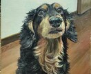 ペットのお写真を味のある油絵にします 現役藝大生がペットとの思い出を形にするお手伝いをします！ イメージ4