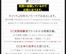 楽天用サイト改善レポート◆売れる改善策提案します 楽天市場店をキャリア20年超の視点で改善提案。 イメージ2