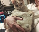 発達障害についてのお話を聞きます 大人や、子どもさんの発達障害の悩み聞きます イメージ2