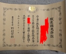 飼い主さん向け：体調・治療方針相談のります ー現役獣医師がペットの体調や治療方針をやさしく解説ー イメージ2