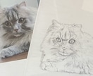 愛犬・愛猫を色鉛筆またはデジタルでリアルに描きます ペットとの思い出をあったかい似顔絵でお手元に イメージ6