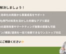 小規模Shopifyストア構築させていただきます ご予算10万円〜！ECサイト構築のプロにお任せください！ イメージ3