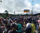 ブラジル何でも！お手伝いします 気になる！知りたい！翻訳して！など、何でもご相談ください！ イメージ2