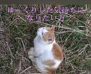 どんなテンションでも対応致します モヤモヤ！イライラ！愚痴、泣き言、優しくお聴き致します。 イメージ3
