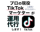 プロSNSマーケターが TikTok運用代行します プロにコンサル、企画提案、分析、動画編集までマルっとお任せ！ イメージ1