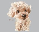 ふんわりやさしいタッチで似顔絵をお描きします 愛犬・愛猫のアイコン、プレゼント用にも！商用利用可⭐︎ イメージ2