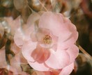 どれに申し込む？あなたにピッタリをご案内します ミニアート付き！「どれが合うかわからない」も大切なサインです イメージ8