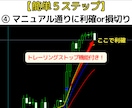 海外で300万回再生の5分足トレード手法教えます FX・MT4用オリジナルインジケーター＋実践マニュアル付き！ イメージ5