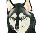あなたの愛犬描きます リアルだけどかわいく、かっこよく！ イメージ3