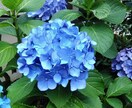 あなたの道をタロットで照らします 解決までお付き合いいたします！ イメージ1