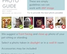 ペット写真を使ったカスタムペットイラスト描きます ペット写真を使ったカスタムペットイラストデジタル犬猫イラスト イメージ7