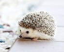 どんなお悩みでもお聞きします 赤の他人だから気を遣ずに話せる悩みお受けします！ イメージ1