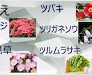 １.リハビリ教材を提案します 様々なバリエーション！明日からすぐに使える！ イメージ5