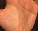 手相と素質で開運に導きます☆ イメージ1