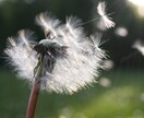 願望成就サポート。夢実現までの道のりを促進します 夢や目標達成の円滑化を促すヒーリング イメージ5