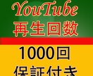 YouTube再生数☆再生回数1000回増やします 【保証付】再生回数追加1000回〜拡散宣伝/視聴回数/世界中 イメージ1
