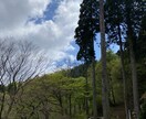 今、恋に悩んでる方のサポートを全力でします 恋の魔法で悩んでる事を一緒に考え解決して行きましょう イメージ4