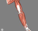 治療家×保育士がお悩みに合ったセルフケアを教えます 肩凝り腰痛などのツボ押しやマッサージ、スポーツ、健康増進など イメージ3