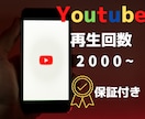 Youtube再生回数をお手頃価格で増やします YouTube再生回数をお手頃で爆増！手軽に動画をバズらせる イメージ1