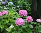 写真撮影行います あなたの代わりに写真撮影いたします！ イメージ4