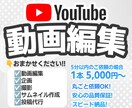 YouTube向けの動画編集いたします 【企画・撮影・動画編集・投稿代行】すべておまかせください！ イメージ1