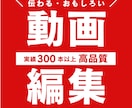 伝わる・面白い動画編集をお探しの方はご対応致します 実績300件以上！ご希望ジャンルに合わせて作成いたします！ イメージ1