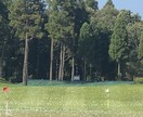 ゴルフ⛳️でお悩みの方！解決します アマチュアの方のお悩み解決します！ イメージ2
