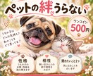 愛するペットとの絆を占います 性格・相性・聞きたいことを優しく読み解きます イメージ1