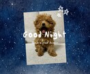 男性限定❤️ライブチャットの本音お聞きします ♡♥現役チャットレディがあなたの心に寄り添います♡ イメージ4