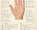 写真1枚で本格手相鑑定！性格と運勢みますます 手のひらに刻まれたあなただけの物語、丁寧にお届けします イメージ1