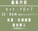 配信の切り抜き/サムネ(長時間OK!!)作成します 早くて安い、Vtuberやストリーマーの方へおすすめ！ イメージ3