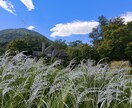 惚気（のろけ）聞きます 身近な人には言いにくい惚気聞きます！好きなだけ話してください イメージ5