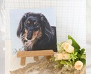 きらめく瞳のペット似顔絵｜キャンバス印刷できます 写真が暗くても丁寧に調整します／犬猫小動物OK／ギフトにも♪ イメージ9