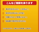 交通違反・免停が不安なあなたへ1往復で応えます 【1往復】青切符・赤切符・自転車の違反も。手続の流れを整理 イメージ2