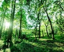 あなたのグチ　とことん聴きます 気分がどんより…モヤモヤする気持ち吐き出してみませんか？ イメージ8