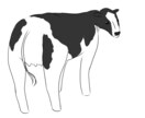 可愛らしい食べ物の絵や緩い動物の絵を提供できます 緩いキャラやクセのある絵や二頭身ならおまかせ イメージ3