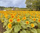 恋愛相談のります 恋愛の悩みを匿名で相談できます！即レス対応！ イメージ1