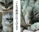 大切な子の思い出を、動く姿で残しませんか？ます 大切なペット写真から、自然な動きのある思い出動画を制作します イメージ2