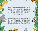 アニマルコミュニケーション 動物さんとお話しします アニマルコミュニケーションと動物さんからのメッセージ付き イメージ8