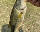 初心者向けのバス釣りアドバイスを提供致します 始めてみたい方や始めたばかりの人にバス釣りの基本を教えます。 イメージ1