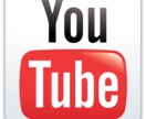 あなたの動画の文字起こし、字幕をつけます！YouTubeやvimeoに最適 イメージ1