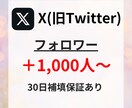 Xフォロワーを1,000人増加させます ✅保証付き/カテゴリー最低価格！/振り分け有り！ イメージ1