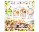 大切な愛犬・愛猫・小動物へ遠隔ヒーリングを届けます 飼い主さまの「何かしてあげたい」に寄り添います イメージ5